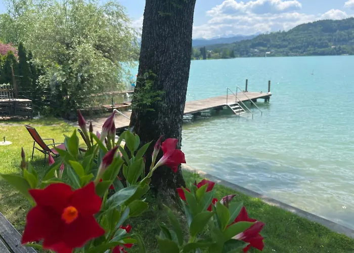 斯特鲁斯尼霍夫兰德豪斯旅馆 招待所