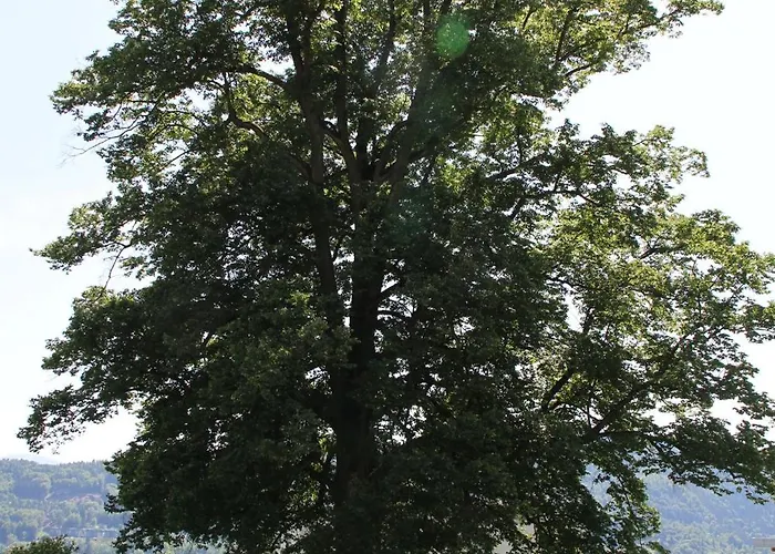 斯特鲁斯尼霍夫兰德豪斯旅馆