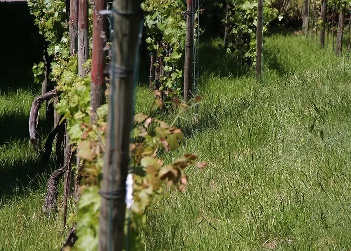 斯特鲁斯尼霍夫兰德豪斯旅馆 3*