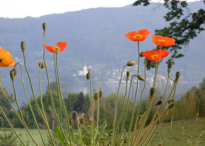 斯特鲁斯尼霍夫兰德豪斯旅馆 Pörtschach am Wörthersee