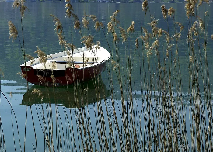 斯特鲁斯尼霍夫兰德豪斯旅馆 招待所 3*